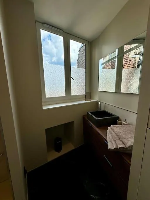 Bel Appartement Climatise En Plein Coeur De Lilla