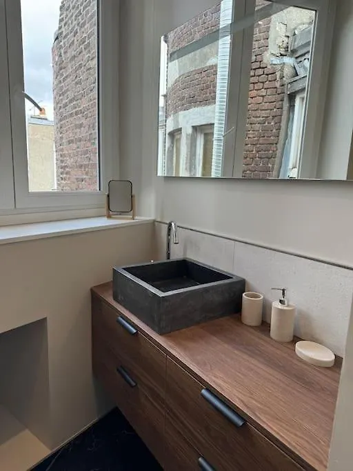 Bel Appartement Climatise En Plein Coeur De Lilla
